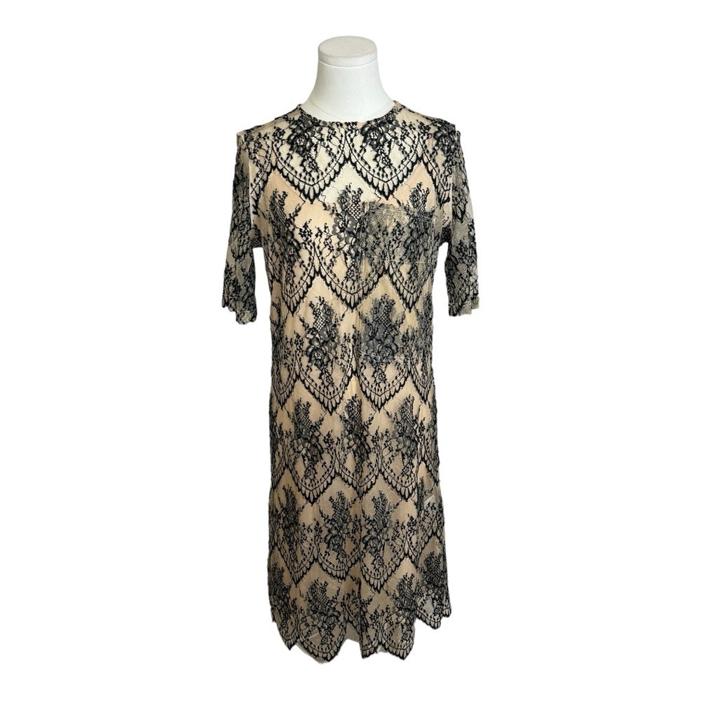 CAARA Nordstrom Scallopd Lace Shift Dress Black Beige Holiday Party Wedding Sz M - Picture 6 of 14